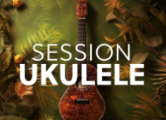 Native Instruments Session Ukulele